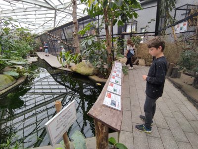 Wakacyjna AktywAKCJA z Domem Kultury